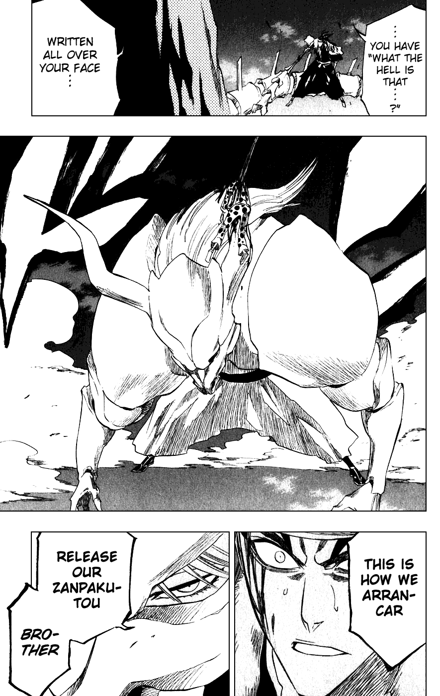 Bleach manga, chapter 207, page 19 of 20