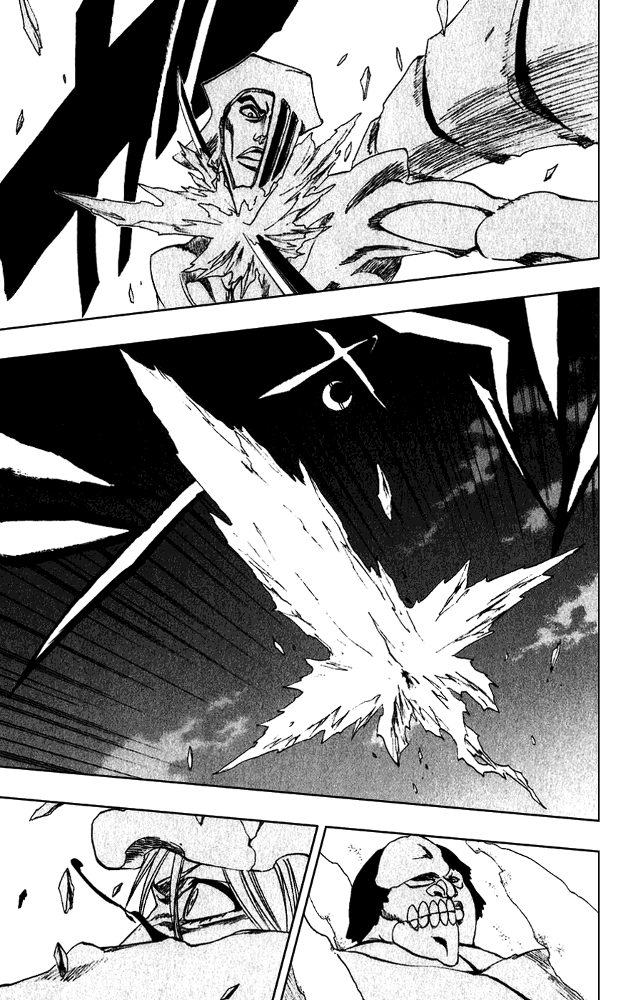 Bleach manga, chapter 210, page 16 of 18