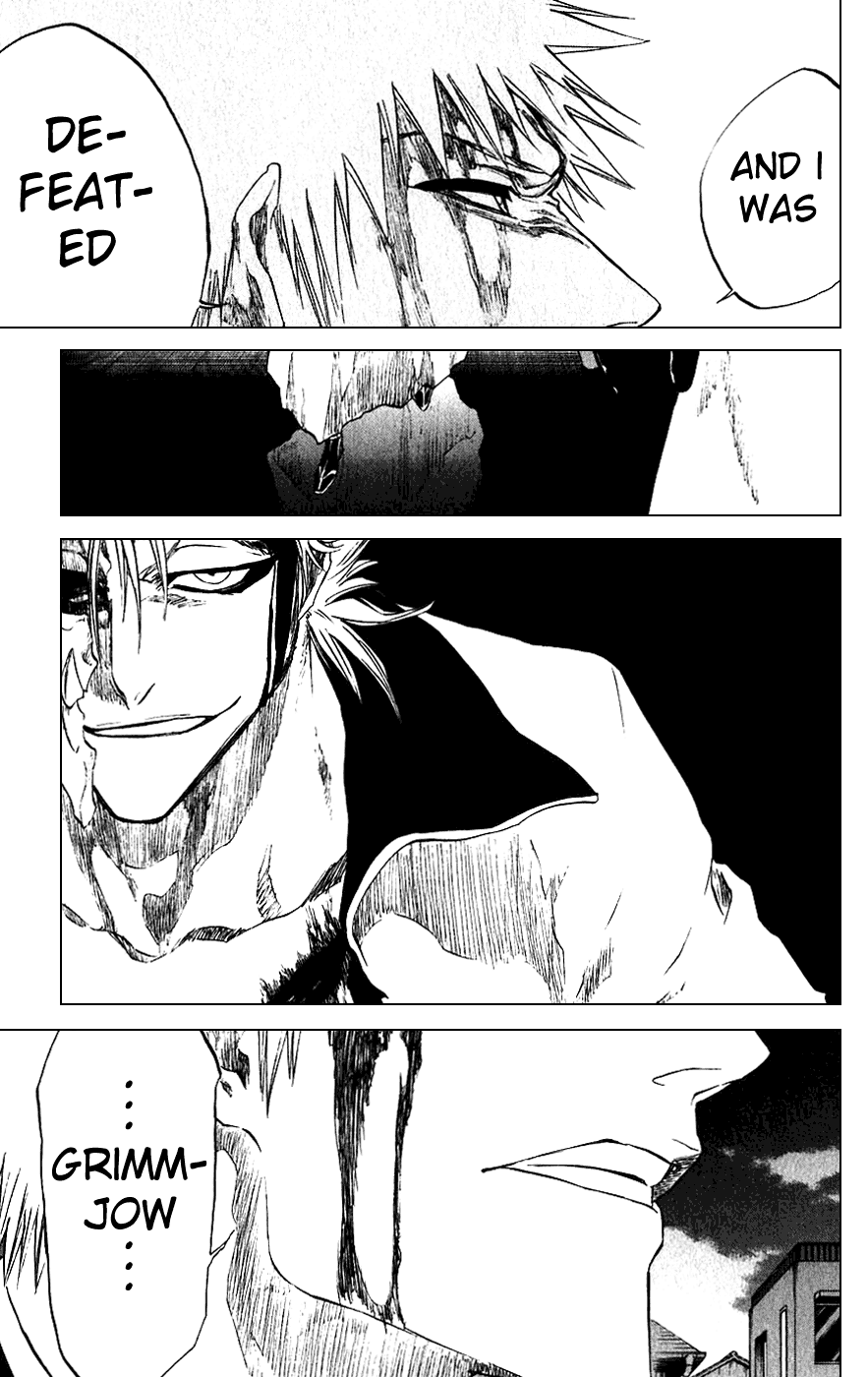 Bleach manga, chapter 212, page 19 of 20