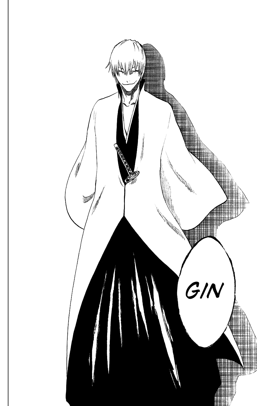Bleach manga, chapter 213, page 18 of 20