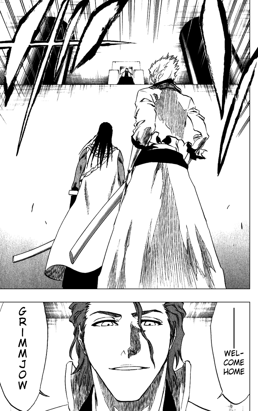 Bleach manga, chapter 213, page 9 of 20