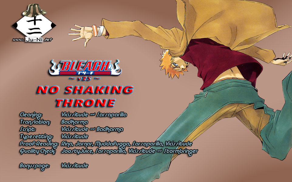 Bleach manga, chapter 215, page 1 of 28