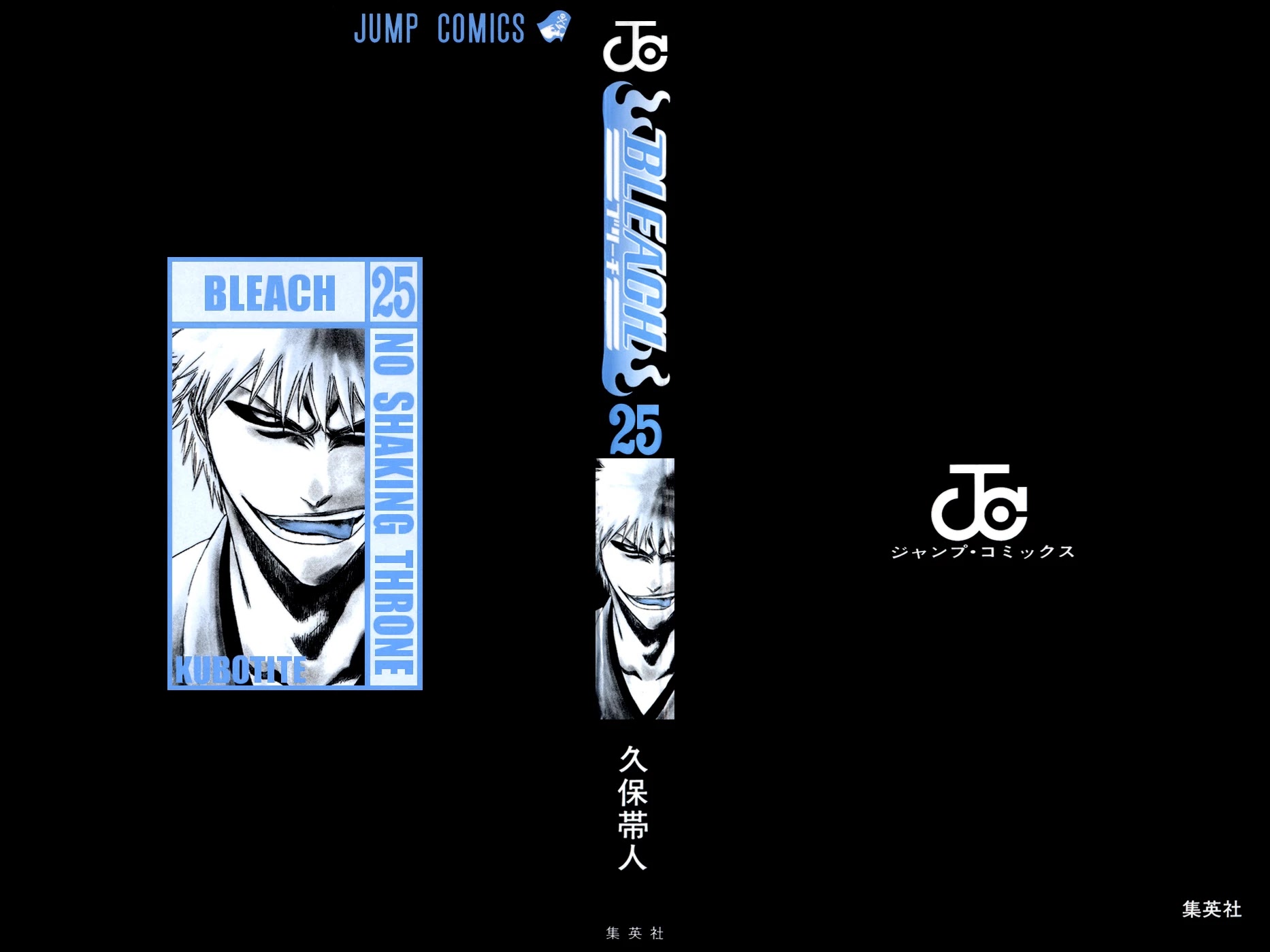 Bleach manga, chapter 215, page 4 of 28