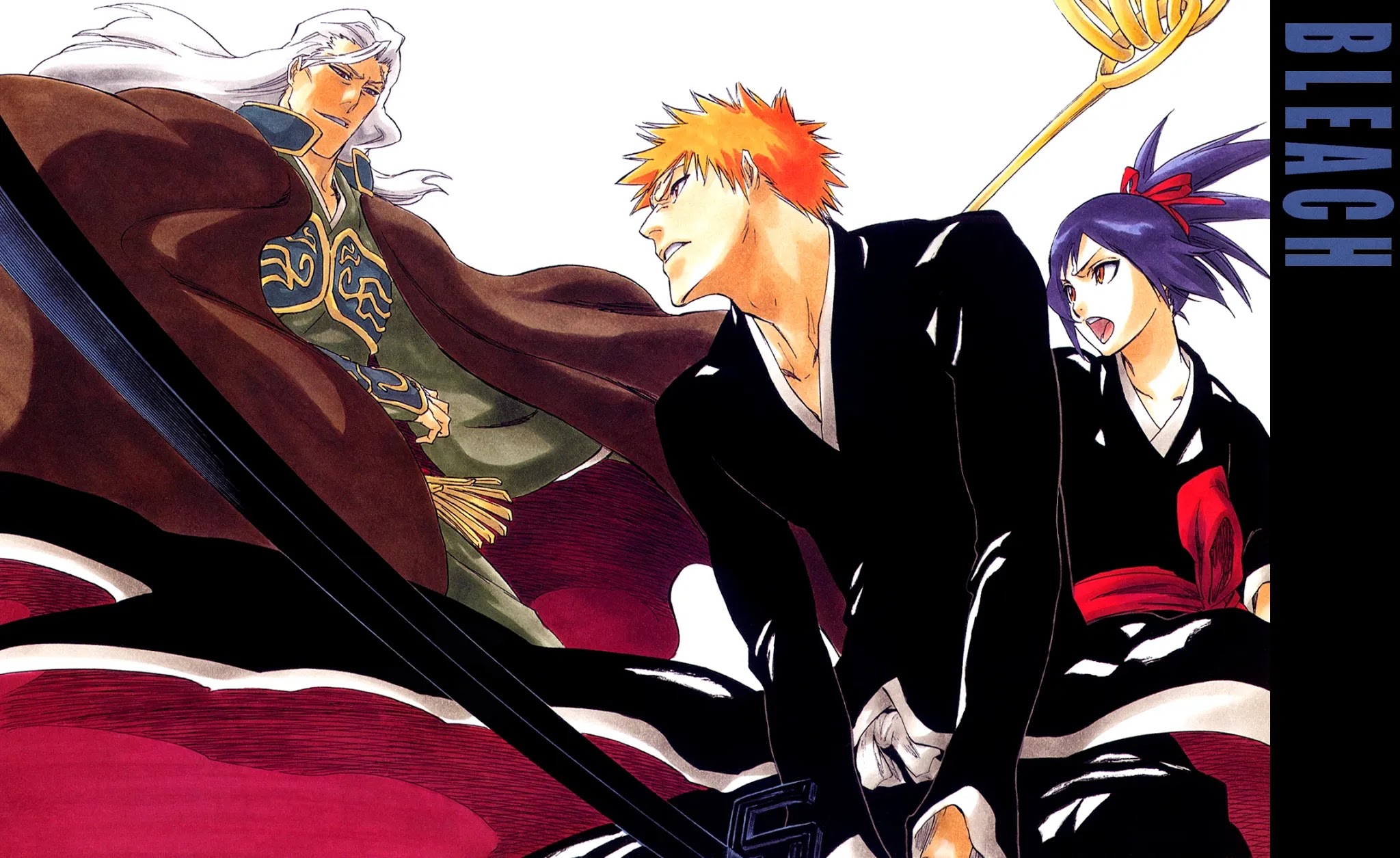 Bleach manga, chapter 215, page 5 of 28