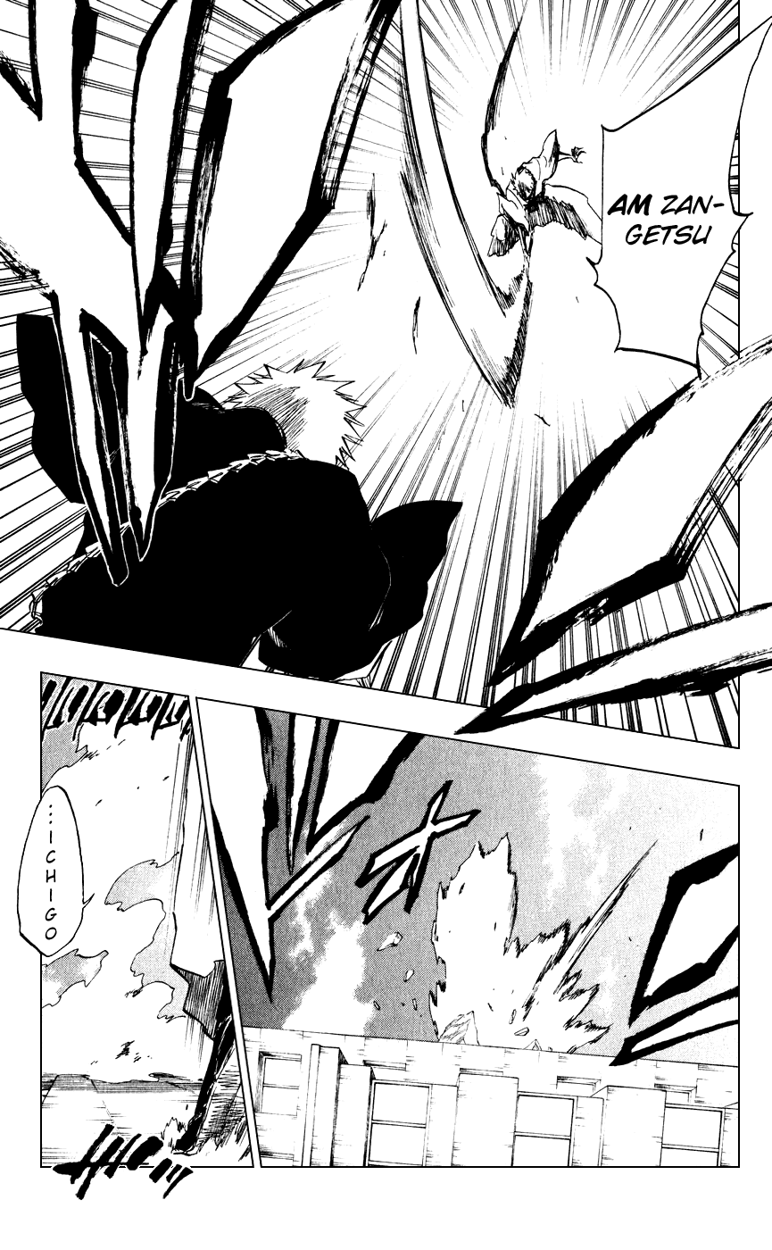 Bleach manga, chapter 218, page 19 of 24