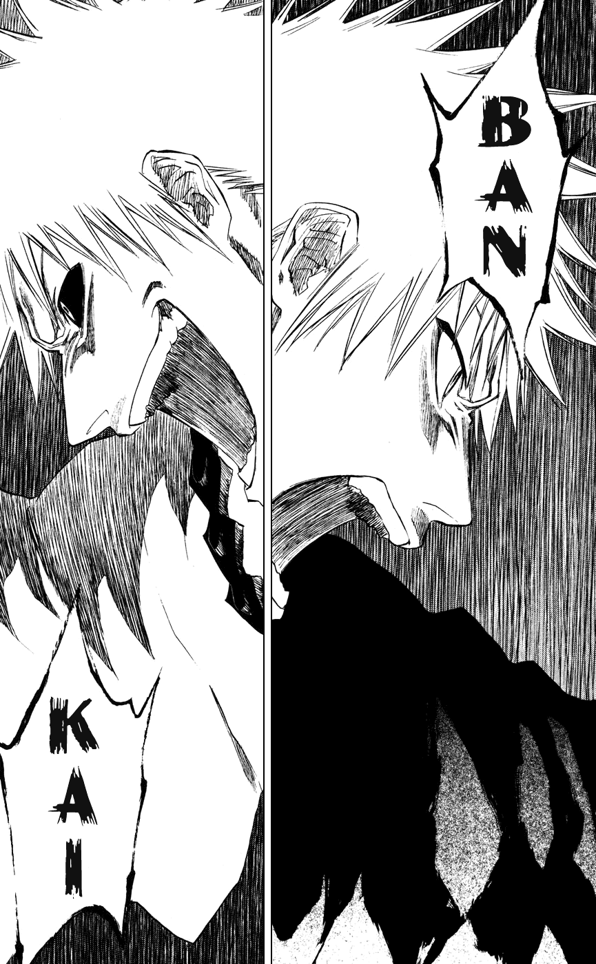 Bleach manga, chapter 218, page 23 of 24