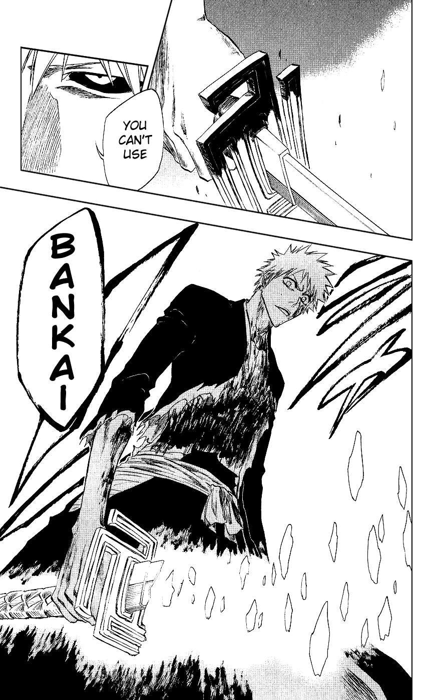 Bleach Chapter 219 page 17 - Chapter 219: Black & White 3