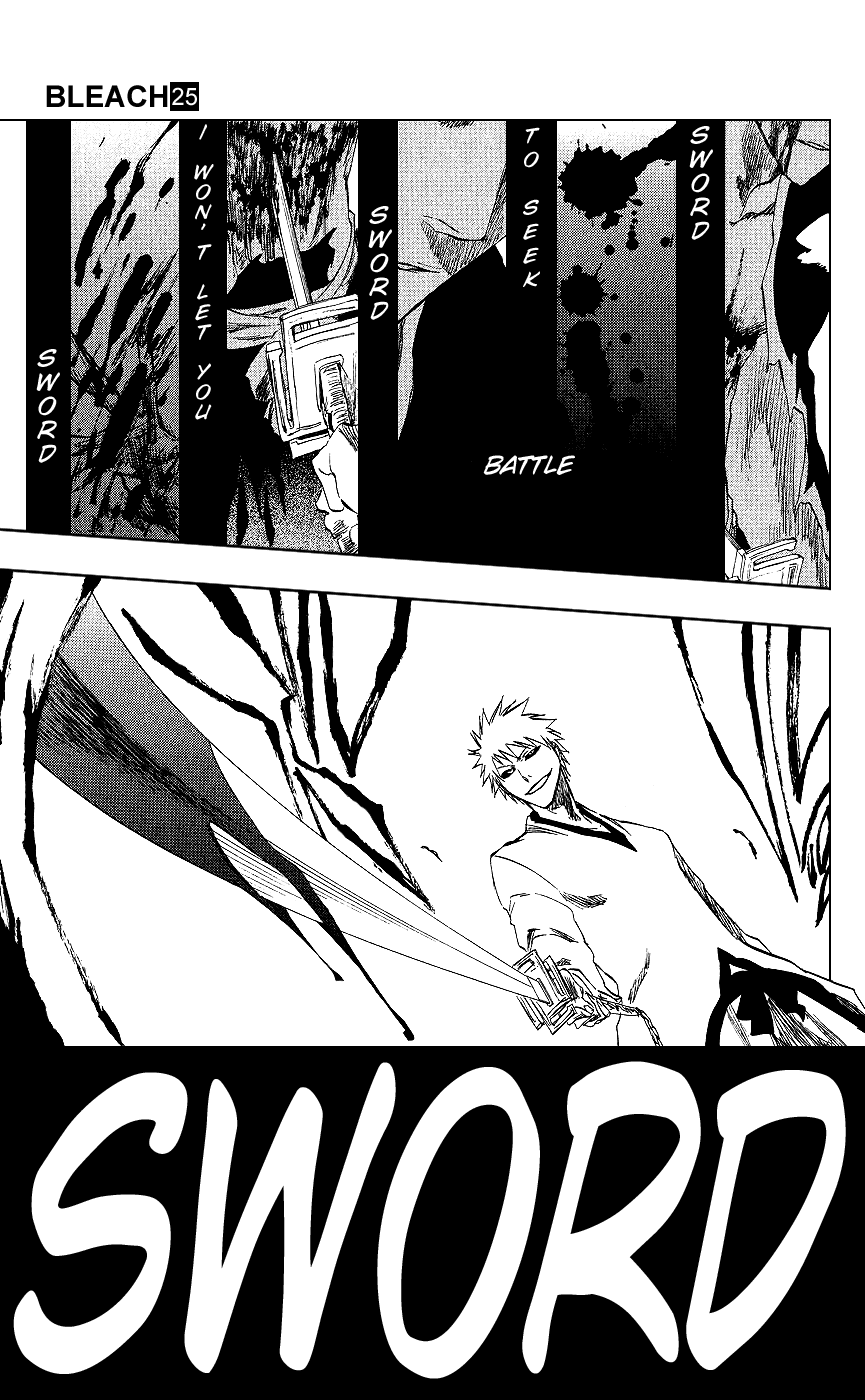 Bleach Chapter 220 page 17 - Chapter 220: King & His Horse
