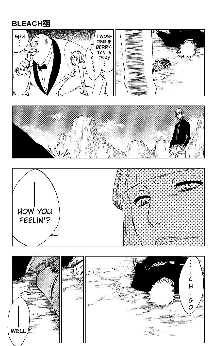 Bleach manga, chapter 222, page 11 of 20