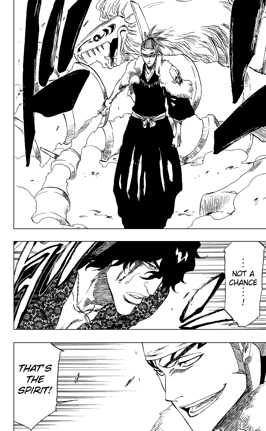 Bleach manga, chapter 223, page 18 of 23