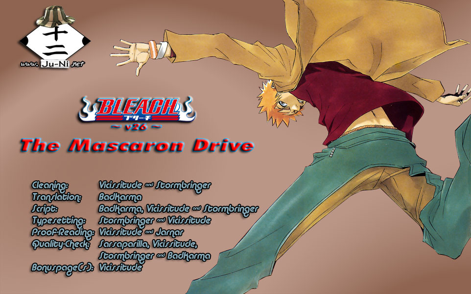 Bleach manga, chapter 224, page 1 of 29