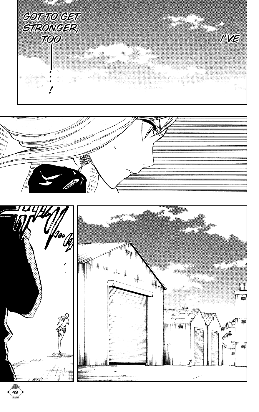 Bleach manga, chapter 225, page 17 of 18