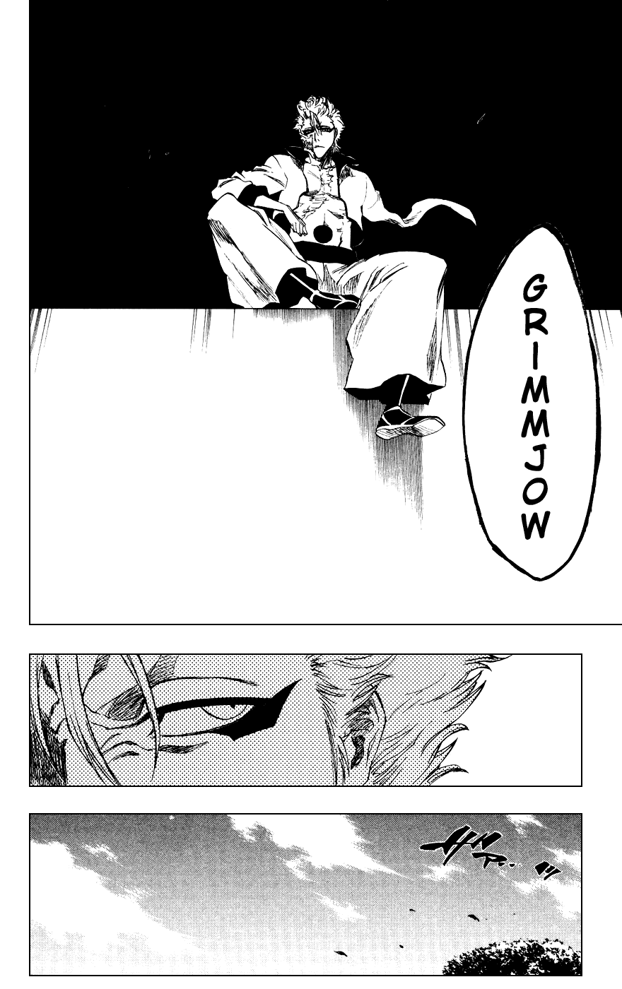 Bleach Chapter 229 page 17 - Chapter 229: The Howling Tempest