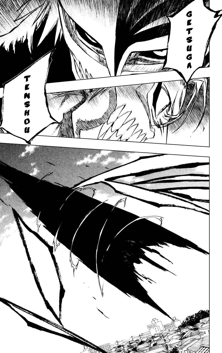 Bleach manga, chapter 231, page 15 of 19