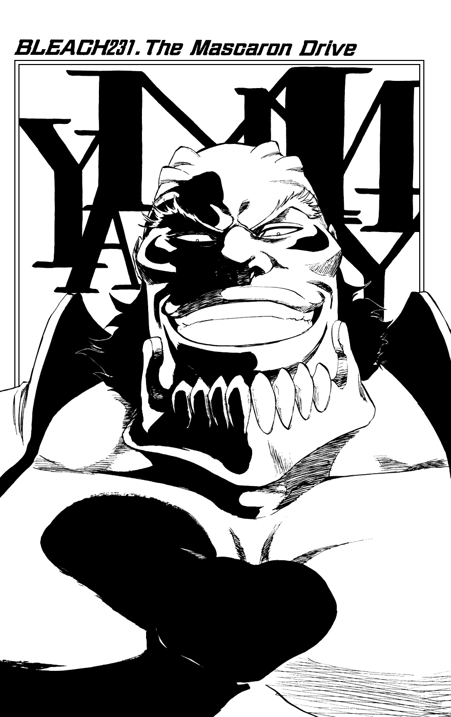 Bleach manga, chapter 231, page 2 of 19