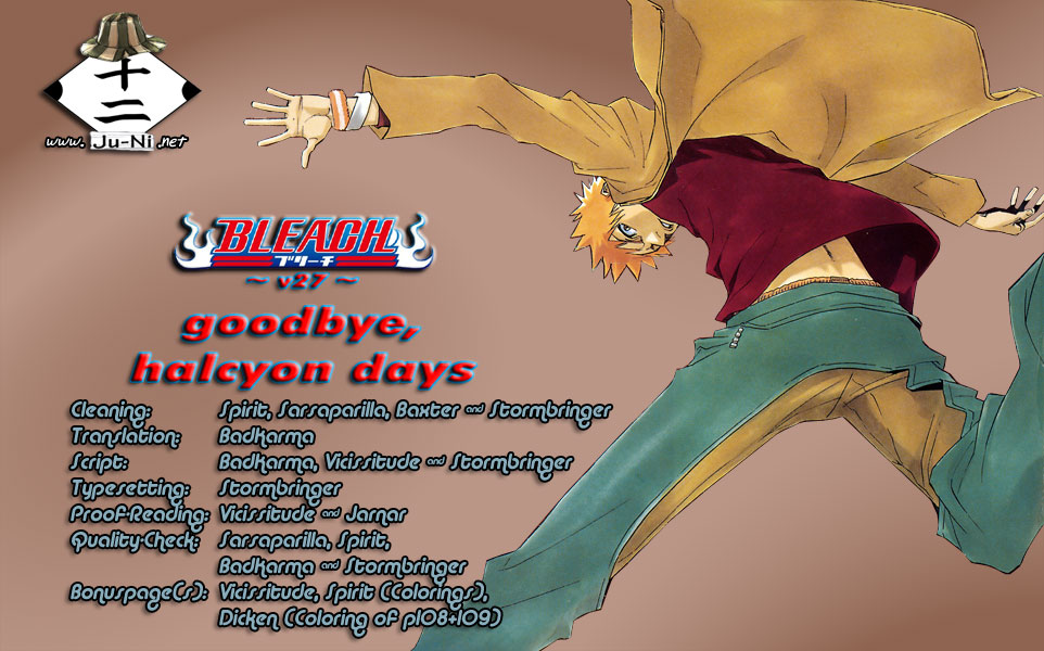 Bleach manga, chapter 234, page 1 of 25
