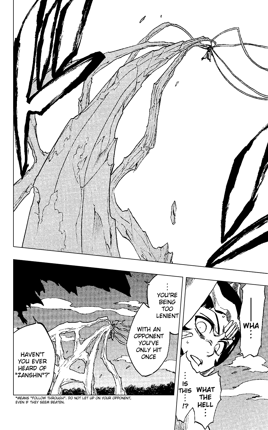 Bleach manga, chapter 234, page 22 of 25