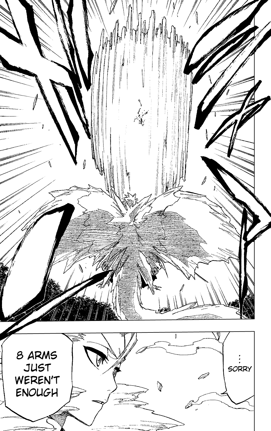 Bleach manga, chapter 234, page 25 of 25