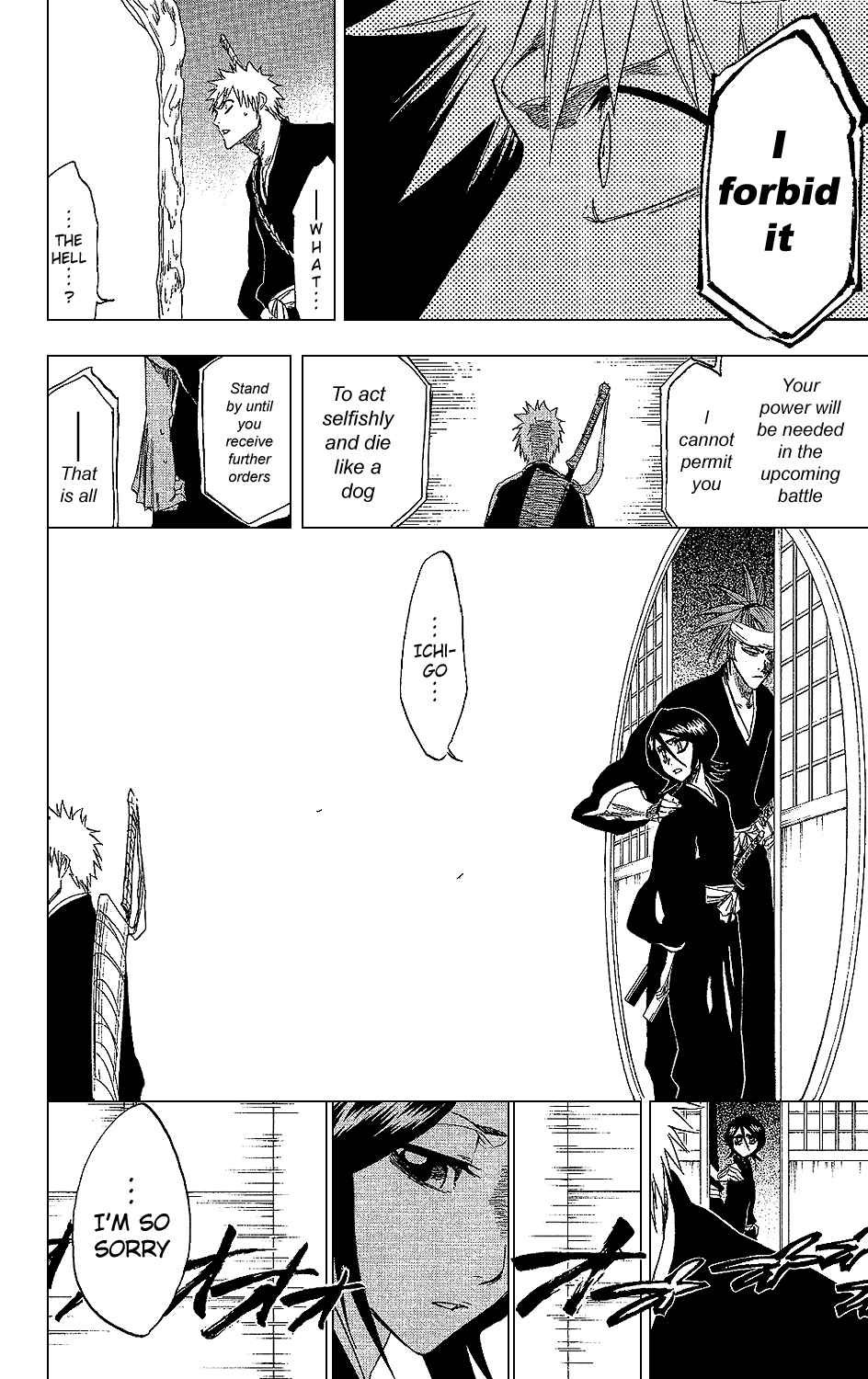 Bleach Chapter 238 page 17 - Chapter 238: Eagle Without Wings