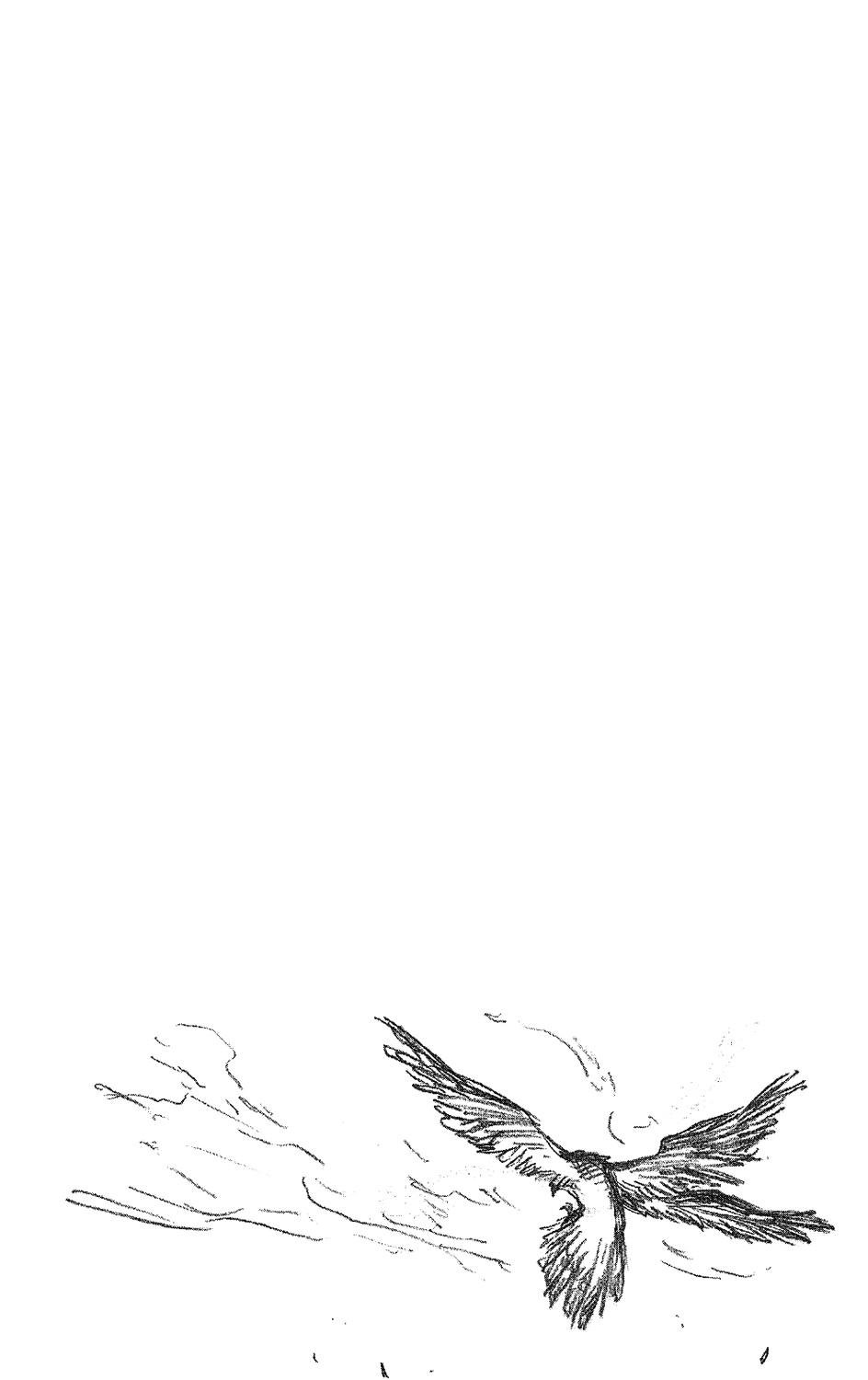 Bleach Chapter 239 page 23 - Chapter 239: Winged Eagles