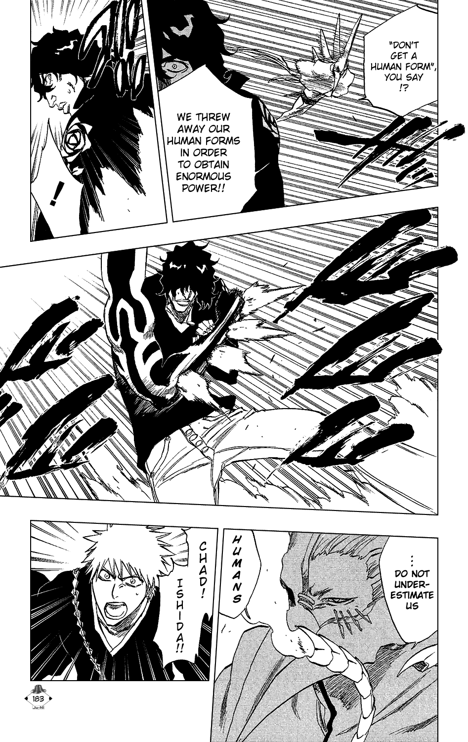 Bleach manga, chapter 242, page 13 of 25