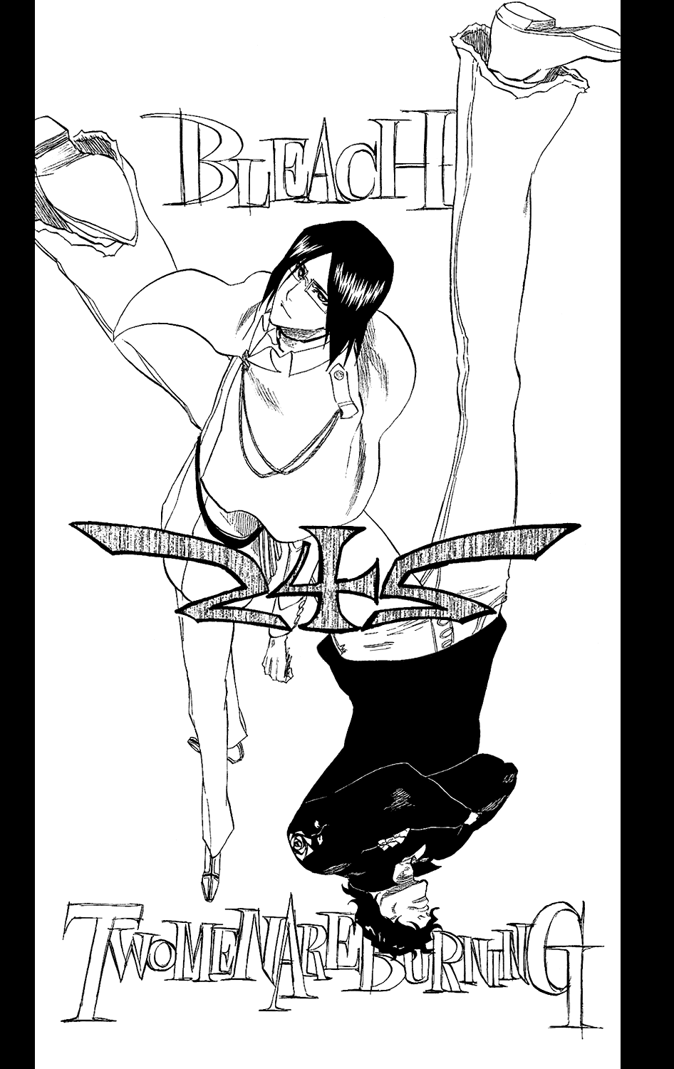 Bleach manga, chapter 242, page 6 of 25