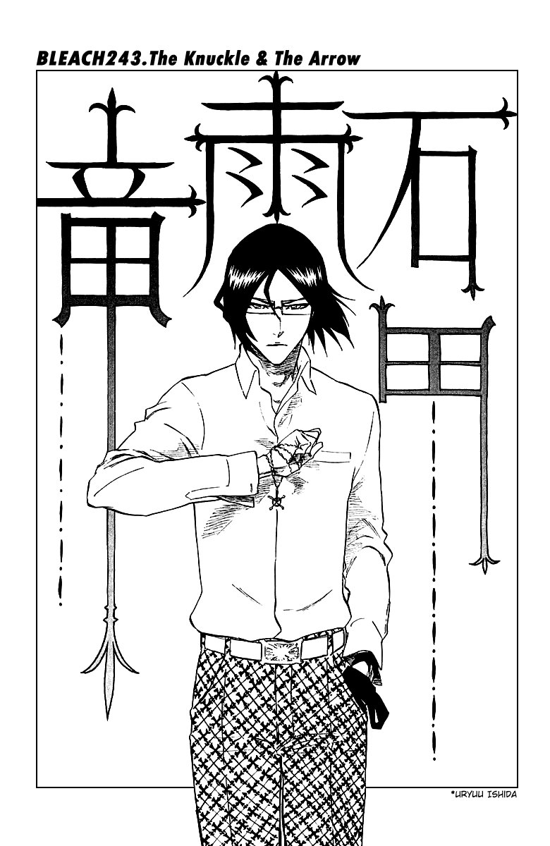Bleach manga, chapter 243, page 12 of 26