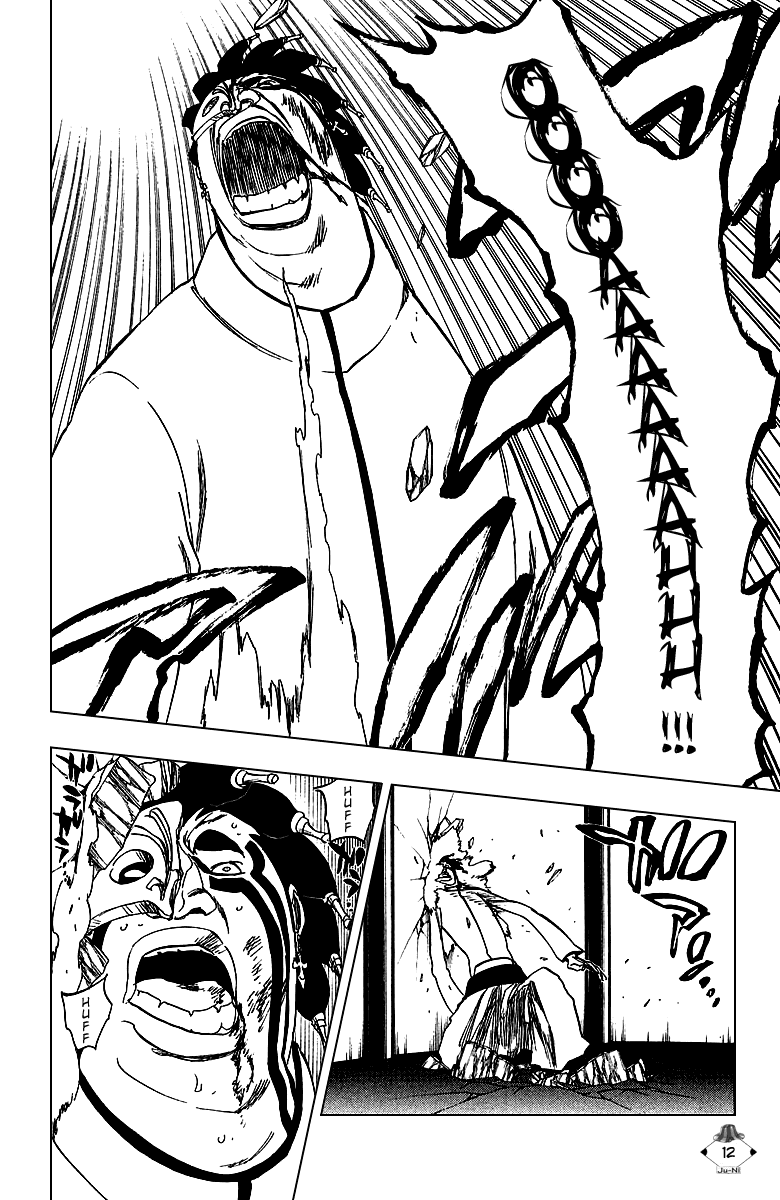 Bleach manga, chapter 243, page 13 of 26