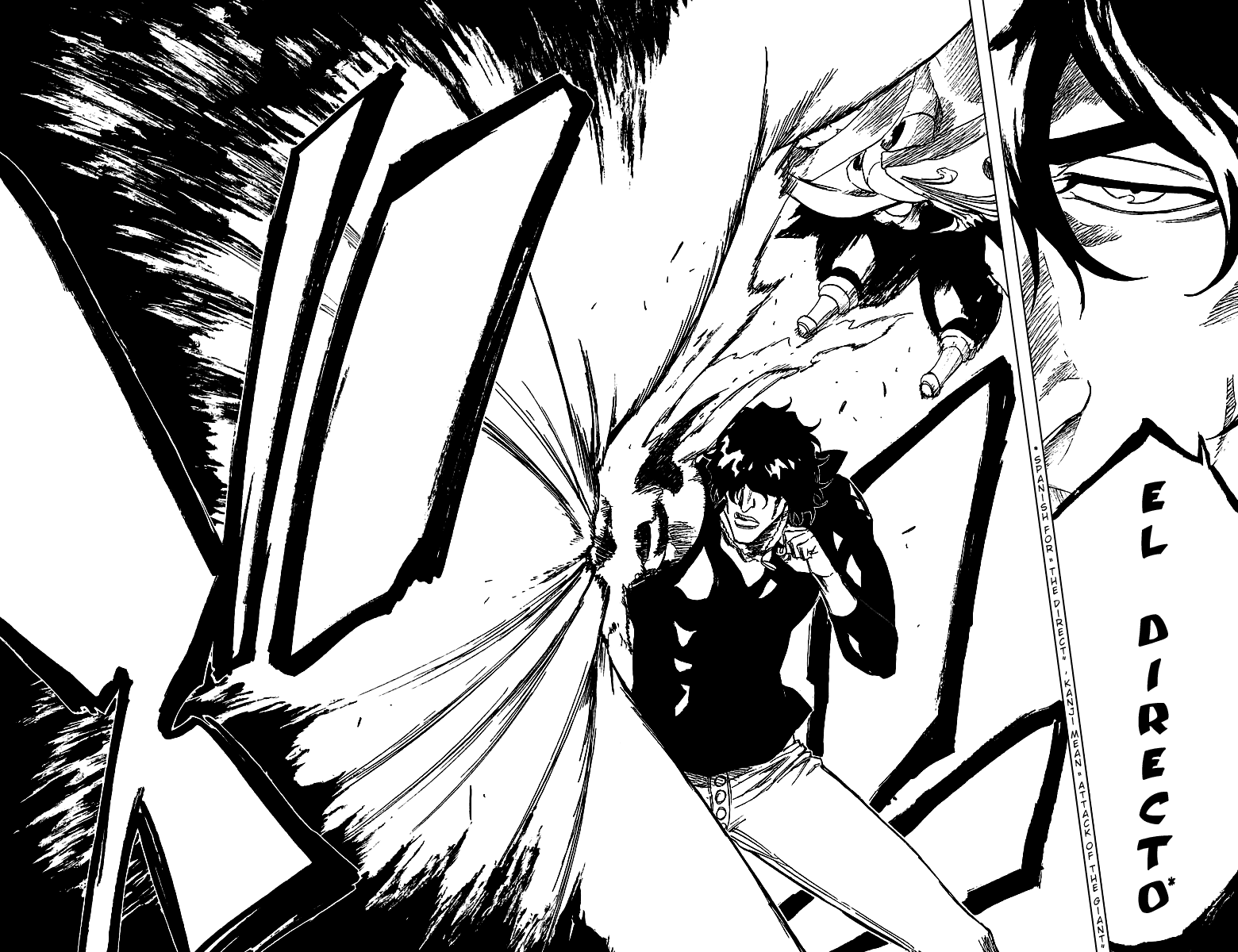 Bleach manga, chapter 243, page 25 of 26