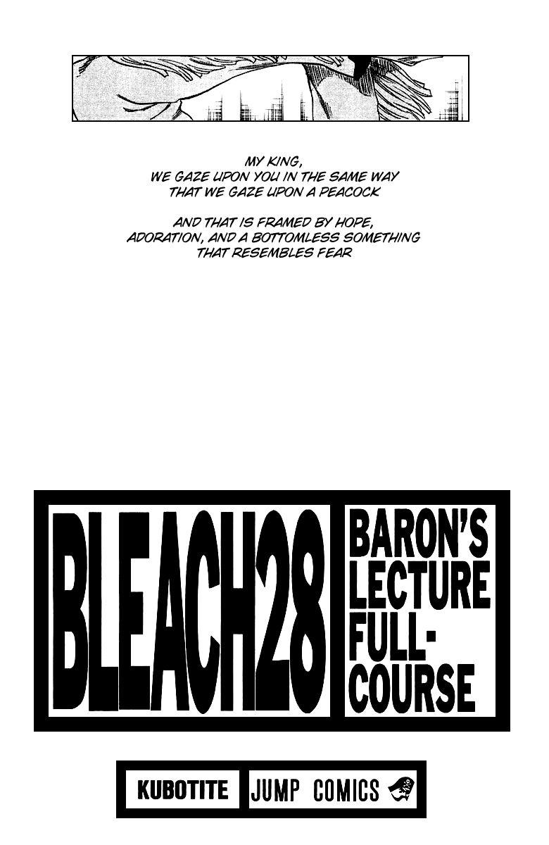 Bleach manga, chapter 243, page 5 of 26