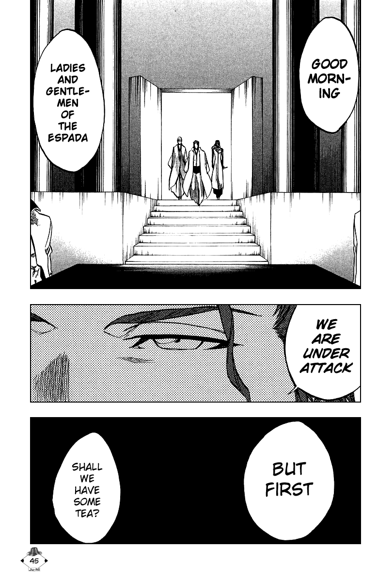 Bleach manga, chapter 244, page 17 of 18