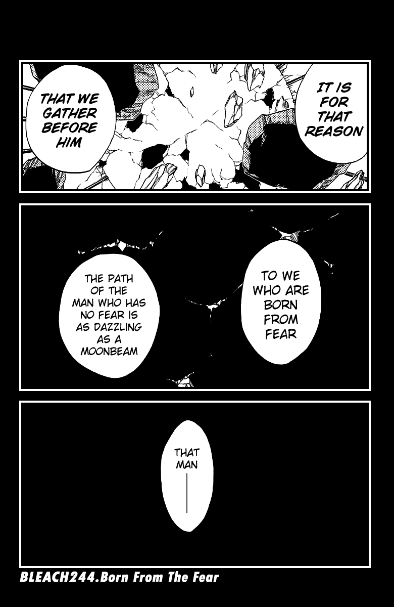 Bleach manga, chapter 244, page 6 of 18