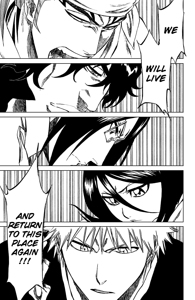 Bleach manga, chapter 248, page 17 of 19