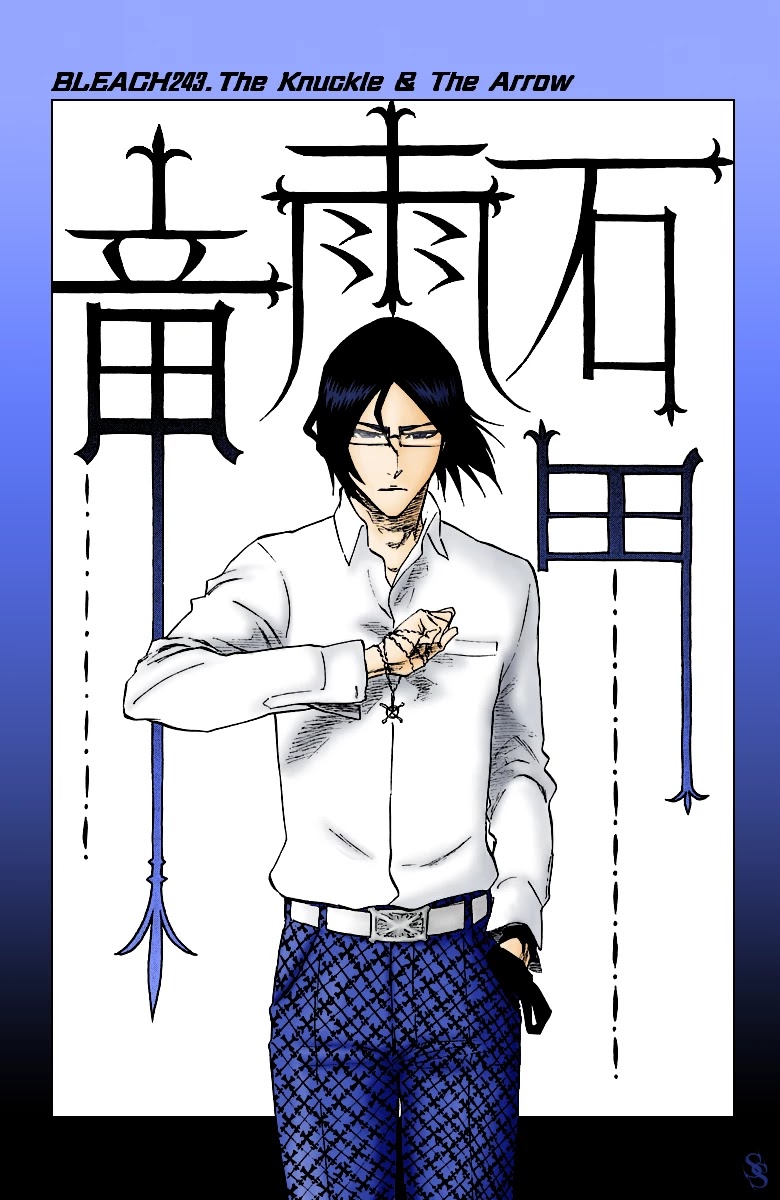 Bleach manga, chapter 251, page 22 of 26