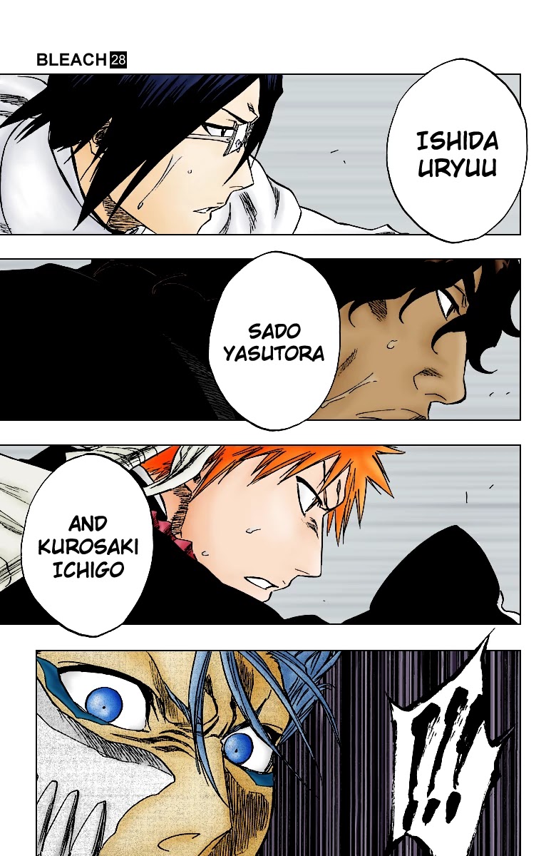 Bleach manga, chapter 251, page 24 of 26