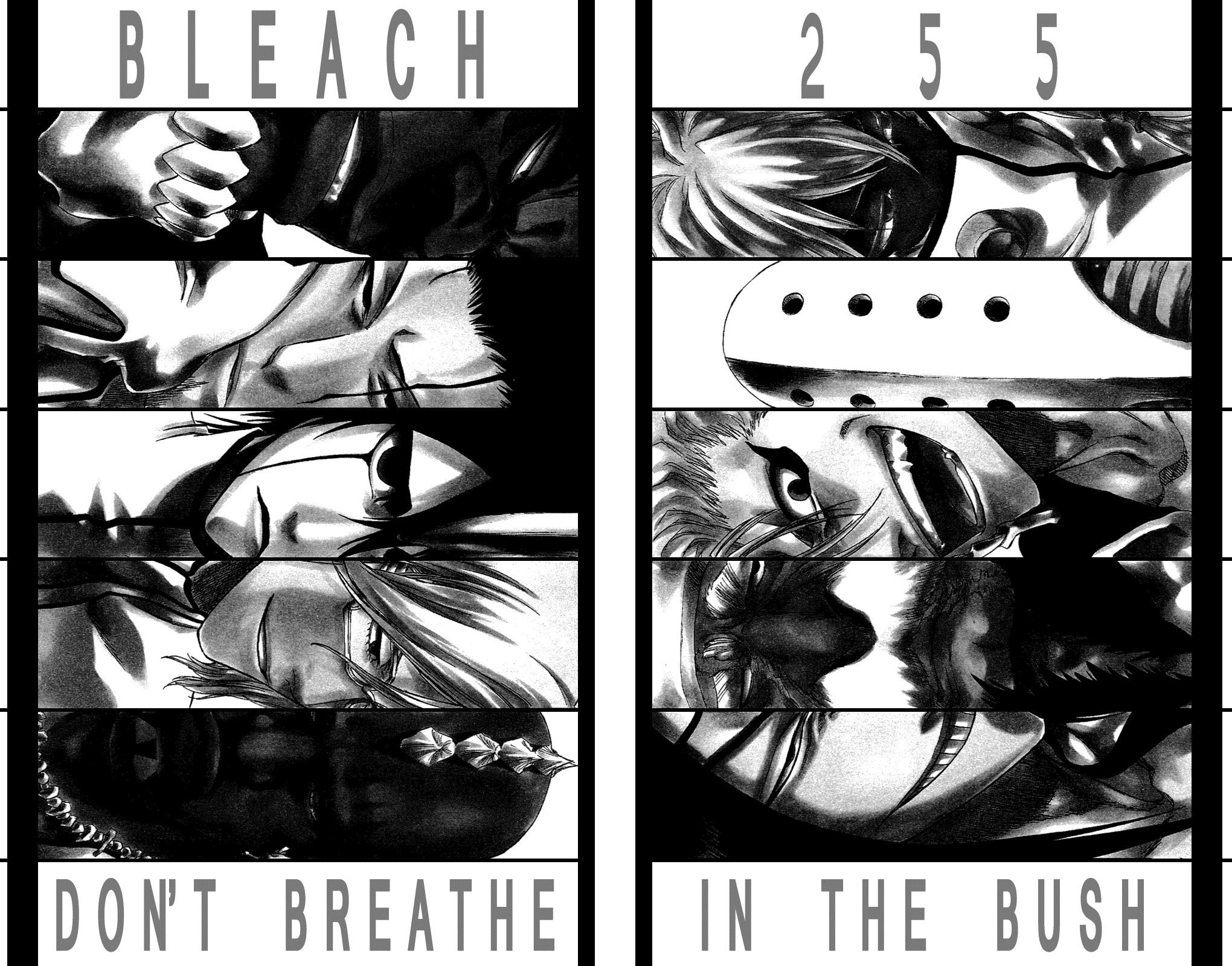 Bleach Chapter 255 page 3 - Chapter 255: Don't Breathe in the Bush