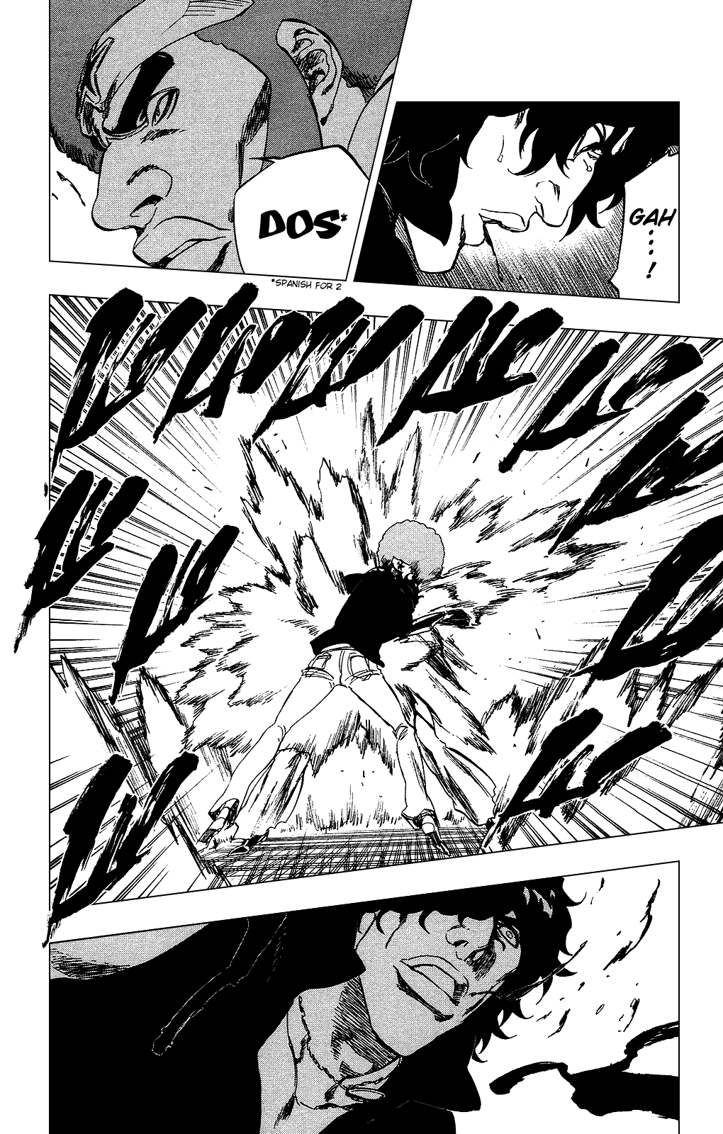 Bleach manga, chapter 259, page 14 of 20