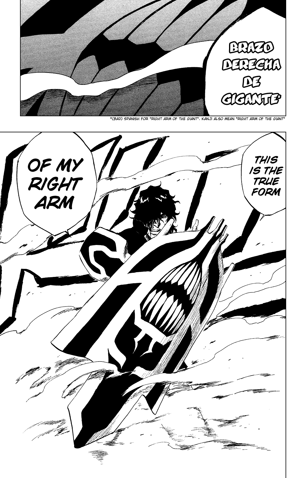 Bleach manga, chapter 259, page 19 of 20