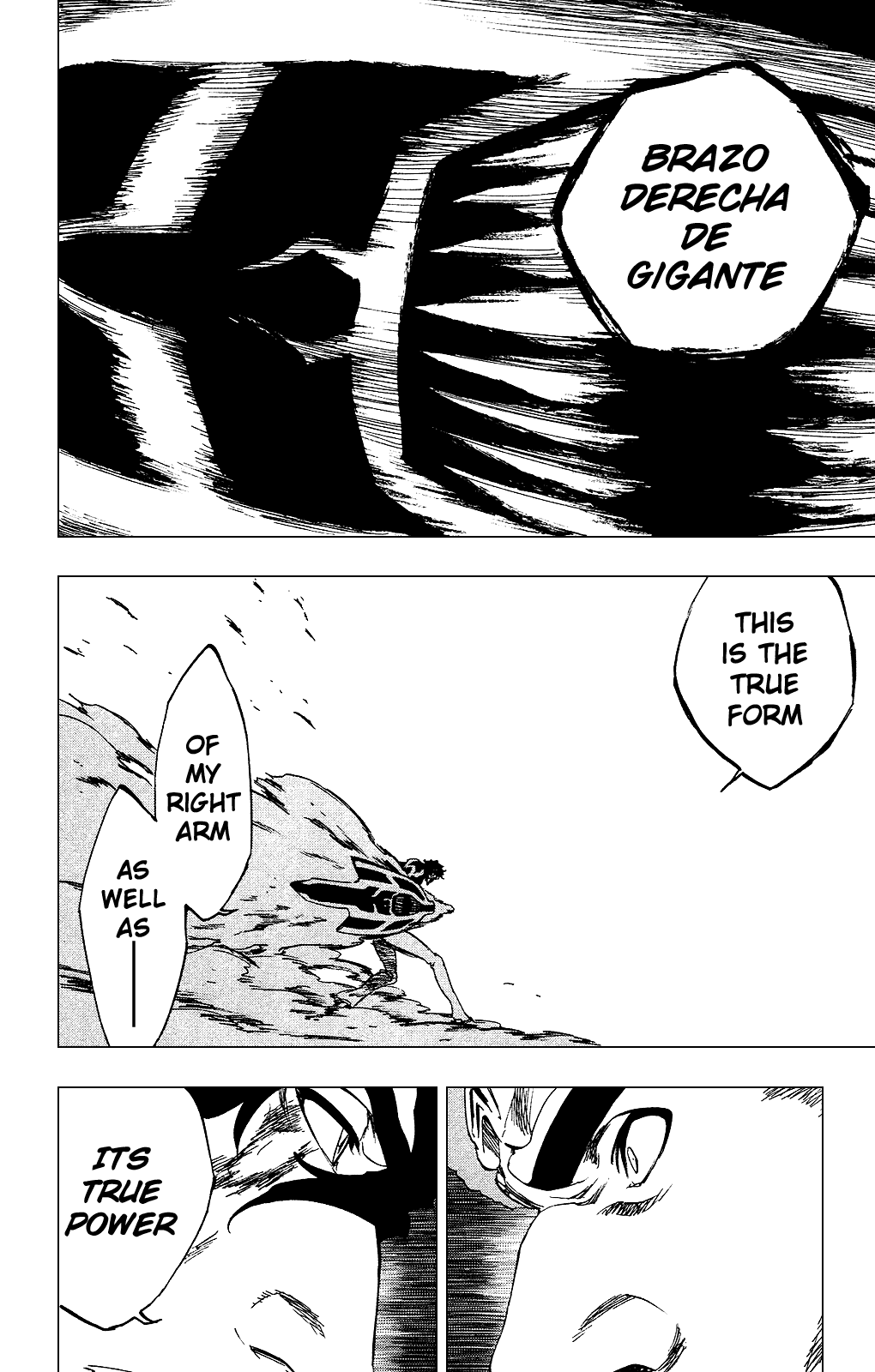 Bleach manga, chapter 260, page 4 of 30