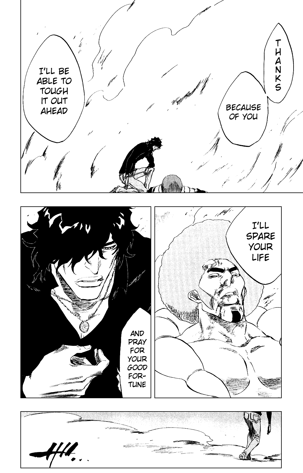 Bleach manga, chapter 261, page 22 of 27