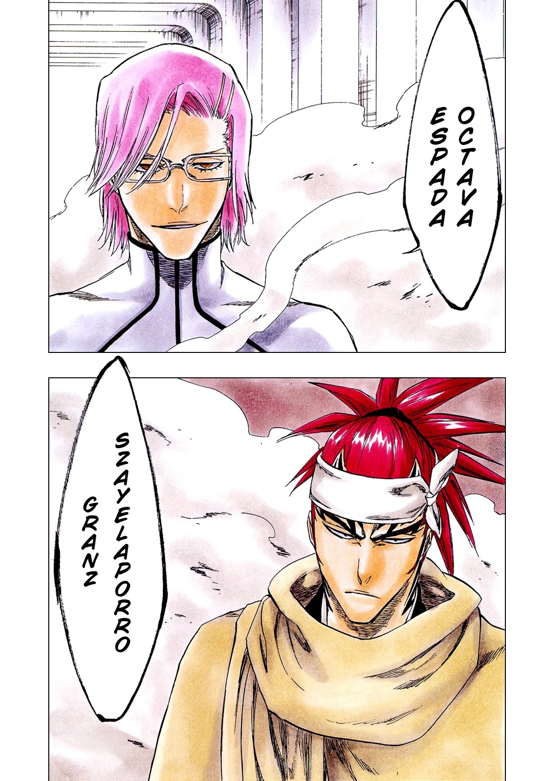 Bleach manga, chapter 265, page 2 of 21