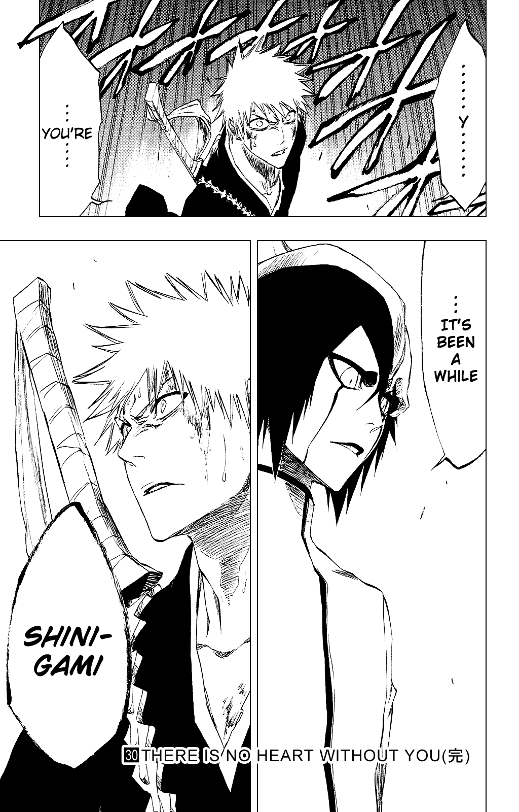 Bleach Chapter 269 page 19 - Chapter 269: The End is Near