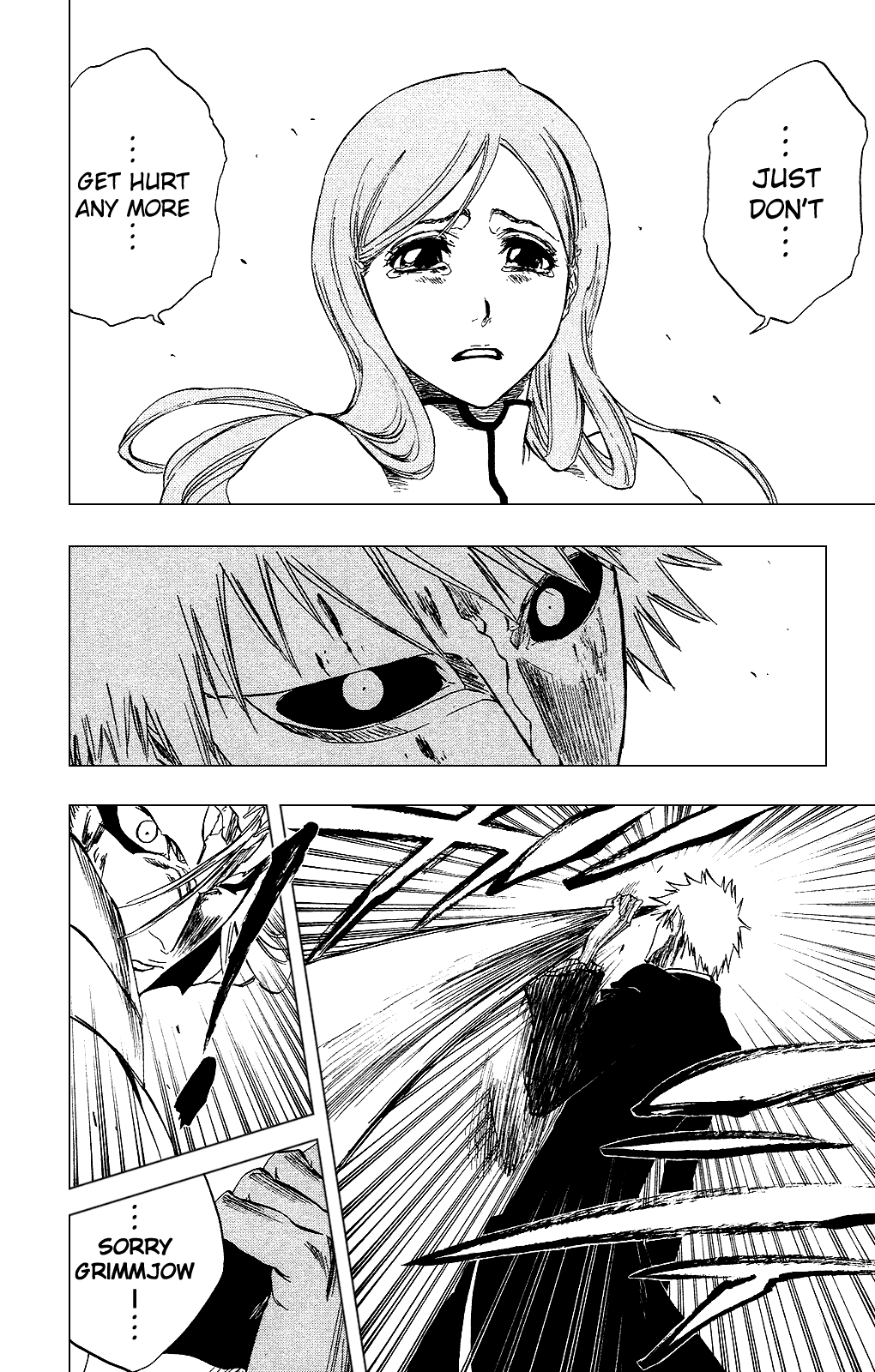 Bleach manga, chapter 283, page 17 of 19