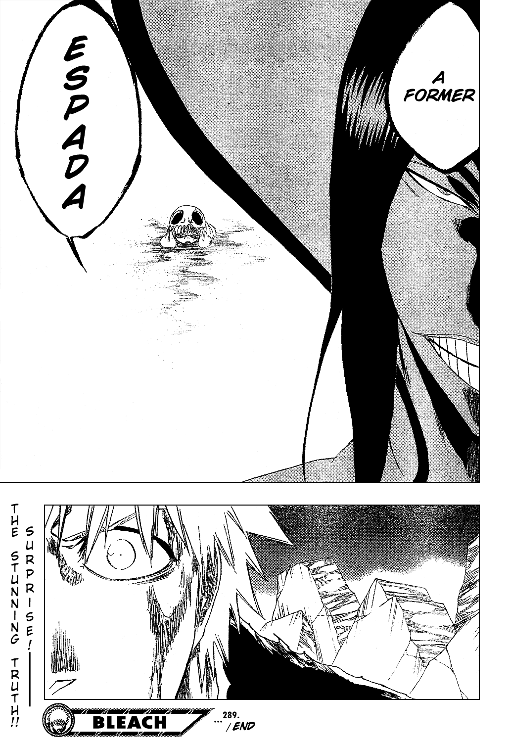 Bleach manga, chapter 289, page 21 of 21