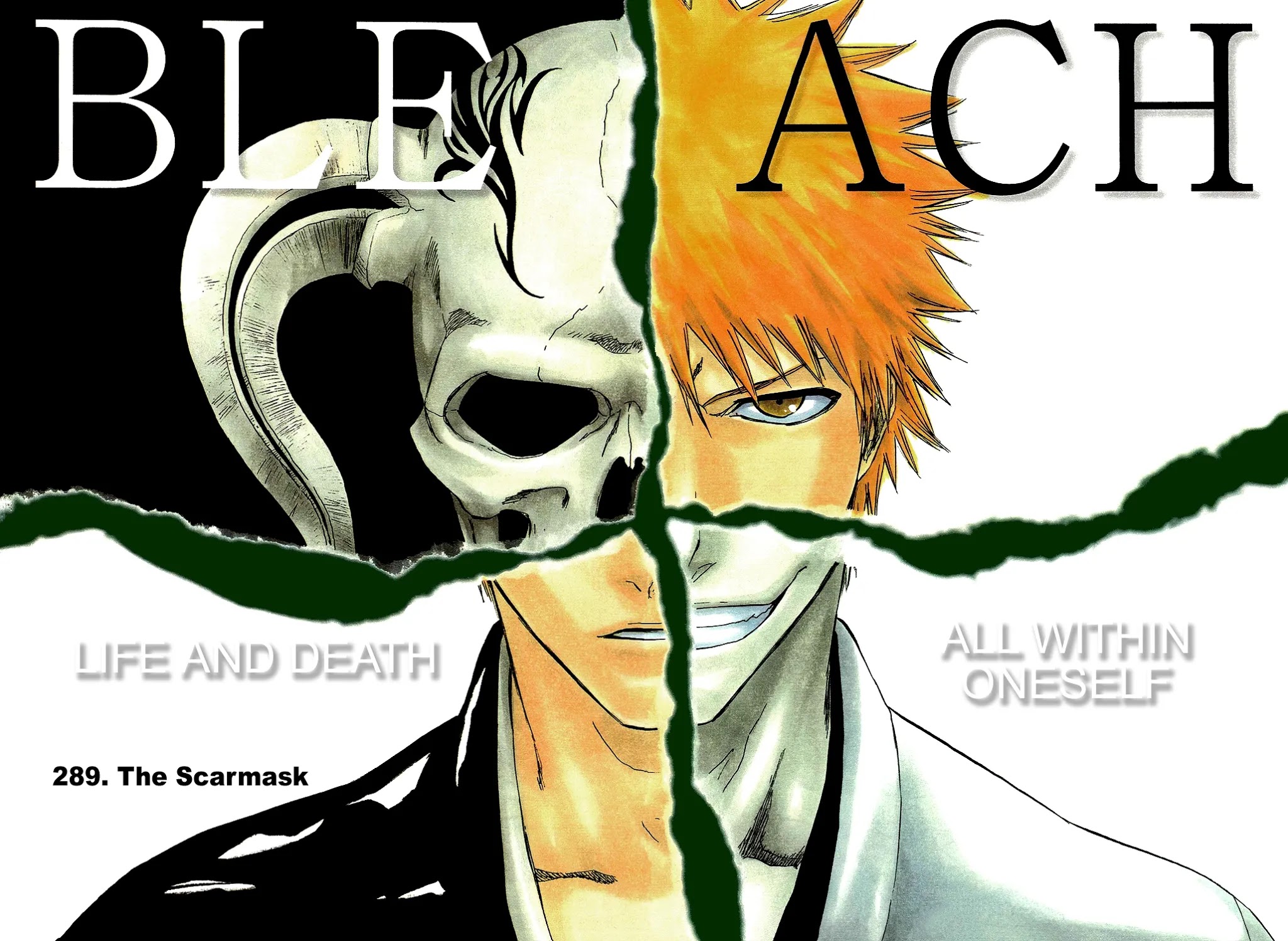 Bleach manga, chapter 289, page 4 of 21