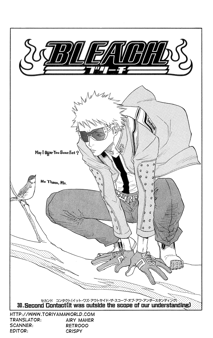 Bleach Chapter 30 page 3 - Chapter 30: Second Contact (it was beyond the scope of our understanding)