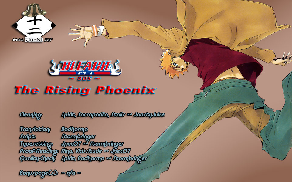 Bleach manga, chapter 305, page 1 of 21