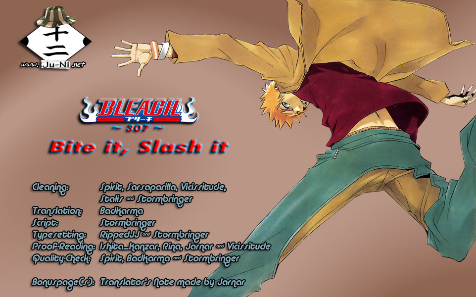 Bleach Chapter 307 page 1 - Chapter 307: Bite it, Slash it