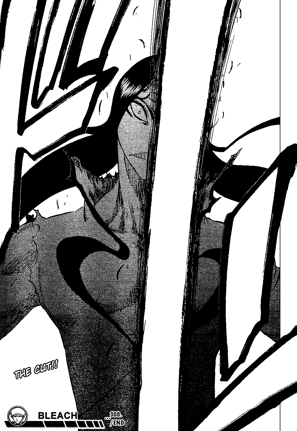 Bleach manga, chapter 308, page 21 of 21