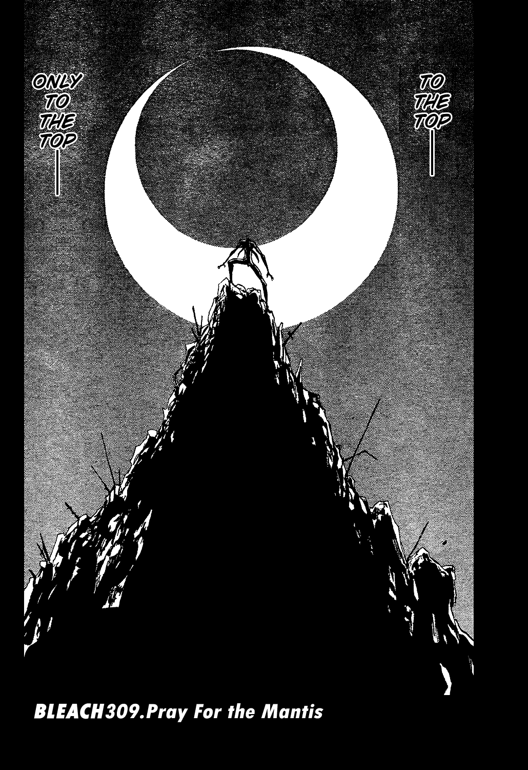 Bleach Chapter 309 page 11 - Chapter 309: Pray For the Mantis